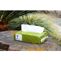 ペーパータオル 中判 バガス パルプ シングル レギュラー FR-6642 1袋（200枚入）ファーストレイト