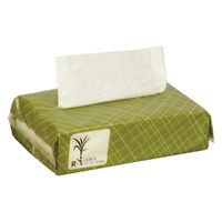 ペーパータオル 中判 バガス パルプ シングル レギュラー FR-6642 1セット（1袋（200枚入）×80）ファーストレイト