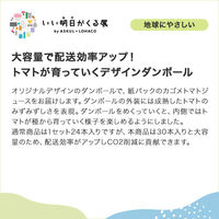【アスクル・ロハコ限定】カゴメ トマトジュース 食塩無添加 200ml デザインBOX 無塩 1箱（30本入） 限定