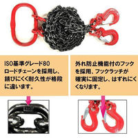 ベスト・アンサー チェーンスリング 1ton 2本吊り diy-024 1台（直送品）