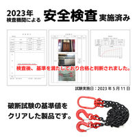 ベスト・アンサー チェーンスリング 2ton 2本吊り diy-025 1台（直送品）