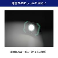 朝日電器 小型ポータブルライト DOP-PL05 1個