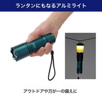 朝日電器 大光量アルミライト1000LM DOP-EP1000 1個