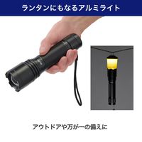 朝日電器 大光量アルミライト1500LM DOP-EP1100 1個