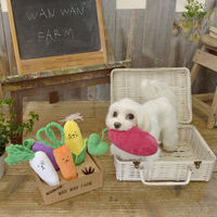 お野菜フレンズBOX 1個 犬用 おもちゃ アルクロース