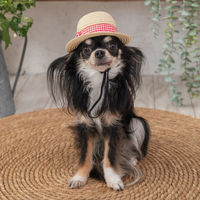 ソルグラ ギンガム麦わら帽子 Sサイズ レッド 1個 犬用 アルクロース