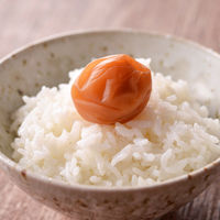 【ロハコ・アスクル限定】紀州 石神の梅干 白干梅 完熟南高梅使用 1個 濱田 オリジナル ご飯のおとも 梅ぼし オリジナル