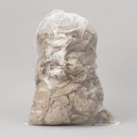 伊藤忠リーテイルリンク 現場のチカラ ガラ袋 透明 1袋（25枚入） オリジナル