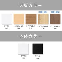 【組立設置込】プラス US 片袖机 幅1000×奥行600×高さ720ｍｍ ウォルナット×ブラック UR-106WA-3 PW/SBK 1台（直送品）