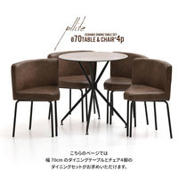 【軒先渡し】B.Bファニシング PLLITE ダイニング 5点セット ムーン グレー PLSE0239CEMON 1セット(5点)（直送品）