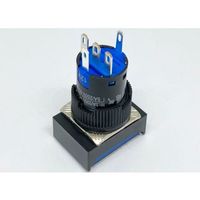 共立電子産業 照光式プッシュスイッチ 長方形 モーメンタリ 青色 12V 65-9235-04 1個（直送品）