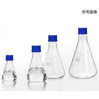 HARIO ねじ口三角フラスコ 1000mL 10個入 NSF-1L-SCI 1箱(10個) 64-0916-90（直送品）