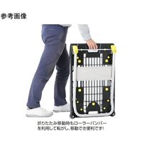 アズワン 中型静音樹脂台車中型台車 フットブレーキ付き 65-8119-69 1セット（直送品）