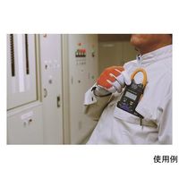 日置電機 ACクランプメータ CM3289 書類3点付 CM3289-SYORUI3TENTUKI 1台 64-8466-20（直送品）