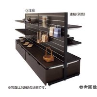 アズワン リスタプラス 中央両面タイプ W90×H135cm 本体 エクリュ色 65-8768-96 1台（直送品）