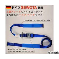 アズワン SEWOTA ラチェット式ラッシングベルト 5tタイプ 固定側:1M 調整側:3M ワンピース 65-8102-10 1本（直送品）
