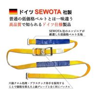 アズワン SEWOTA ラチェット式ラッシングベルト 3tタイプ 固定側:1M 調整側:3M ワンピース 65-8102-13 1本（直送品）