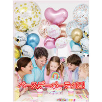 宝興産 PARTY PRO 0610010051 1袋