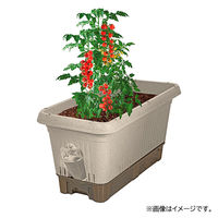 【園芸用品】中山福 ベストコ プランター 給水式 深型 長方形 650型 アイボリー MA-4205 1個
