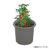【園芸用品】中山福 ベストコ 鉢 ポット 8号 グレー ベジタブル&フラワー ガーデン MA-4189 1個