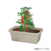 【園芸用品】中山福 ベストコ プランター 深型 長方形 720型 アイボリー MA-4185 1個