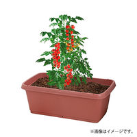 【園芸用品】中山福 ベストコ プランター 深型 長方形 720型 テラコッタ MA-4184 1個