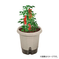 【園芸用品】中山福 ベストコ 鉢 給水式 ポット 360型 アイボリー MA-4211 1個