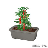 【園芸用品】中山福 ベストコ プランター 深型 長方形 720型 グレー MA-4186 1個