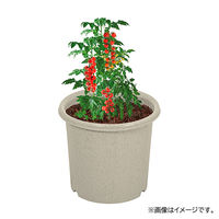 【園芸用品】中山福 ベストコ 鉢 ポット 8号 アイボリー ベジタブル&フラワー ガーデン MA-4188 1個