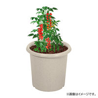 【園芸用品】中山福 ベストコ 鉢 ポット 10号 アイボリー ベジタブル&フラワー ガーデン MA-4191 1個