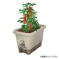 【園芸用品】中山福 ベストコ プランター 給水式 深型 長方形 500型 アイボリー MA-4202 1個