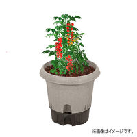 【園芸用品】中山福 ベストコ 鉢 給水式 ポット 300型 アイボリー MA-4208 1個