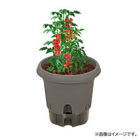 【園芸用品】中山福 ベストコ 鉢 給水式 ポット 300型 グレー MA-4209 1個