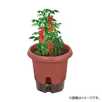 【園芸用品】中山福 ベストコ 鉢 給水式 ポット 300型 テラコッタ MA-4207 1個