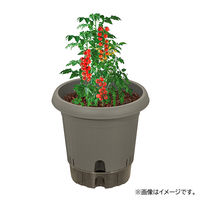 【園芸用品】中山福 ベストコ 鉢 給水式 ポット 360型 グレー MA-4212 1個