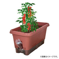 【園芸用品】中山福 ベストコ プランター 給水式 深型 長方形 650型 テラコッタ MA-4204 1個