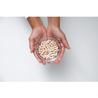 GROWING HINOKI CHIPS 300g GRH500123 1個