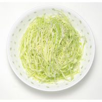 貝印 キャベツスライサー(指ガード付き) DH8025 1個