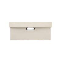 アイリスオーヤマ 段ボール収納ケース 2枚セット幅37×奥行25cm ホワイト DB-250 5セット（10枚入り）