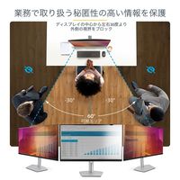 Startech.com プライバシーフィルター ゴールド 24インチ 16:9 2469G-PRIVACY-SCREEN 1個