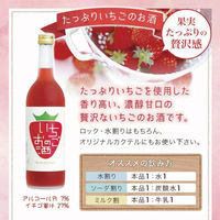 國盛 フルリア いちごのお酒 720ml 1本　リキュール