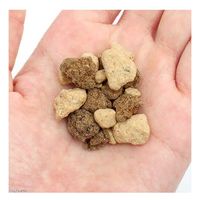 チャーム 山野草用土 中粒 1.5L 一般種向け 431733 1個（直送品）