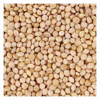 ナチュラルペットフーズ ナチュラルセレクト キビ(皮付き) 500g 287703 1個（直送品）