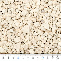 イトスイ コメット カメの消臭砂利 大粒 0.7L 332257 1個（直送品）