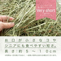 リーフ 令和7年産 スーパープレミアムホースチモシー ベリーショート チャック袋 600g 57239 1個（直送品）