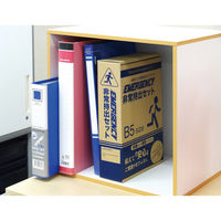 エピオス　非常持出13点セット　FV30　1セット（10個入)（直送品）