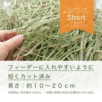 リーフ 令和7年産 スーパープレミアムホースチモシー ショート チャック袋 600g 57020 1個（直送品）