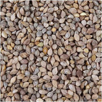 ナチュラルペットフーズ ナチュラルセレクト ヒエ(皮付き) 400g 287702 1個（直送品）