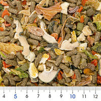 ナチュラルペットフーズ デグーテイストプラス 380g 276252 1個（直送品）