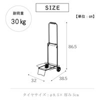 武田コーポレーション らくらくキャリーS BMW-03S 1箱(12個入)（直送品）